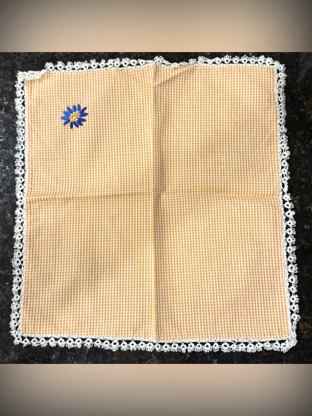Vintage Set of 2 Orange Gingham Lunch Napkins | Hand Embroidered Blue Daisies